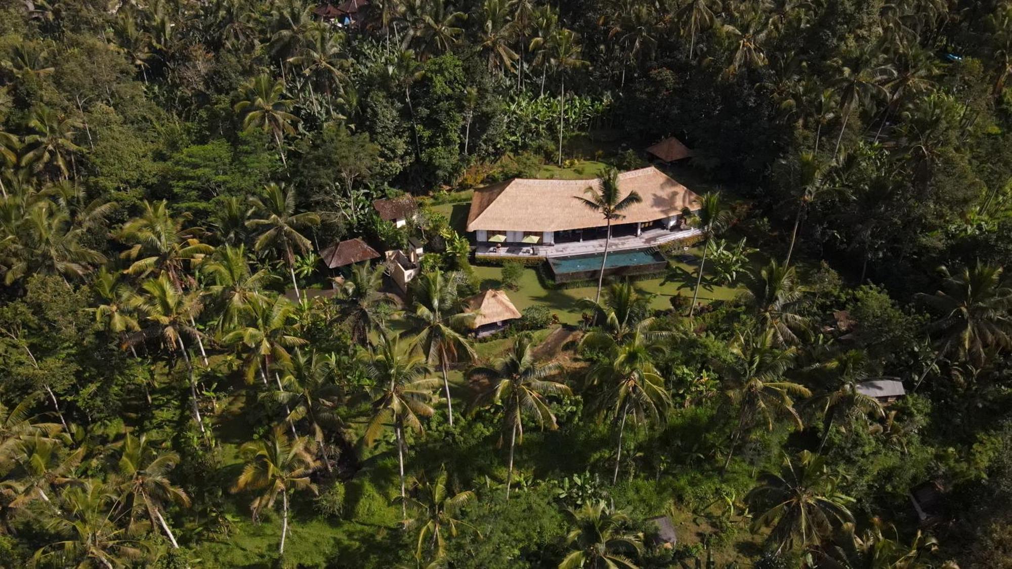 Villa Themma Jungle - Sumptuous 3Br Luxury Villa With Majestic Jungle View North Of Ubud Ngoại thất bức ảnh