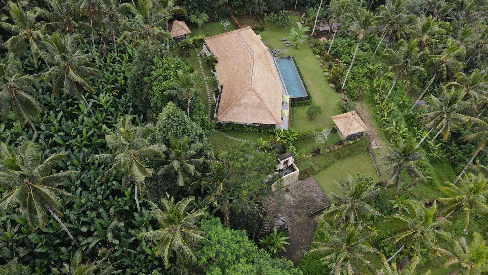 Villa Themma Jungle - Sumptuous 3Br Luxury Villa With Majestic Jungle View North Of Ubud Ngoại thất bức ảnh
