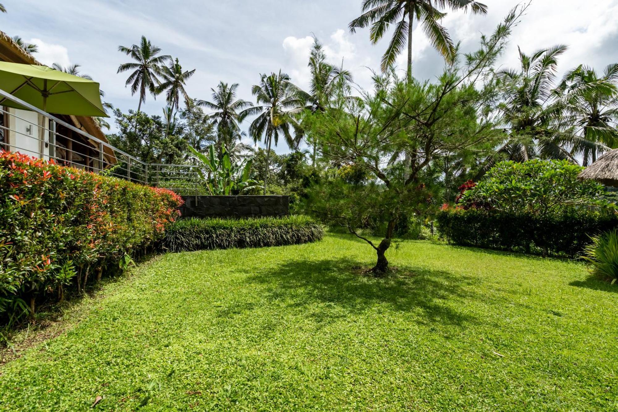Villa Themma Jungle - Sumptuous 3Br Luxury Villa With Majestic Jungle View North Of Ubud Ngoại thất bức ảnh