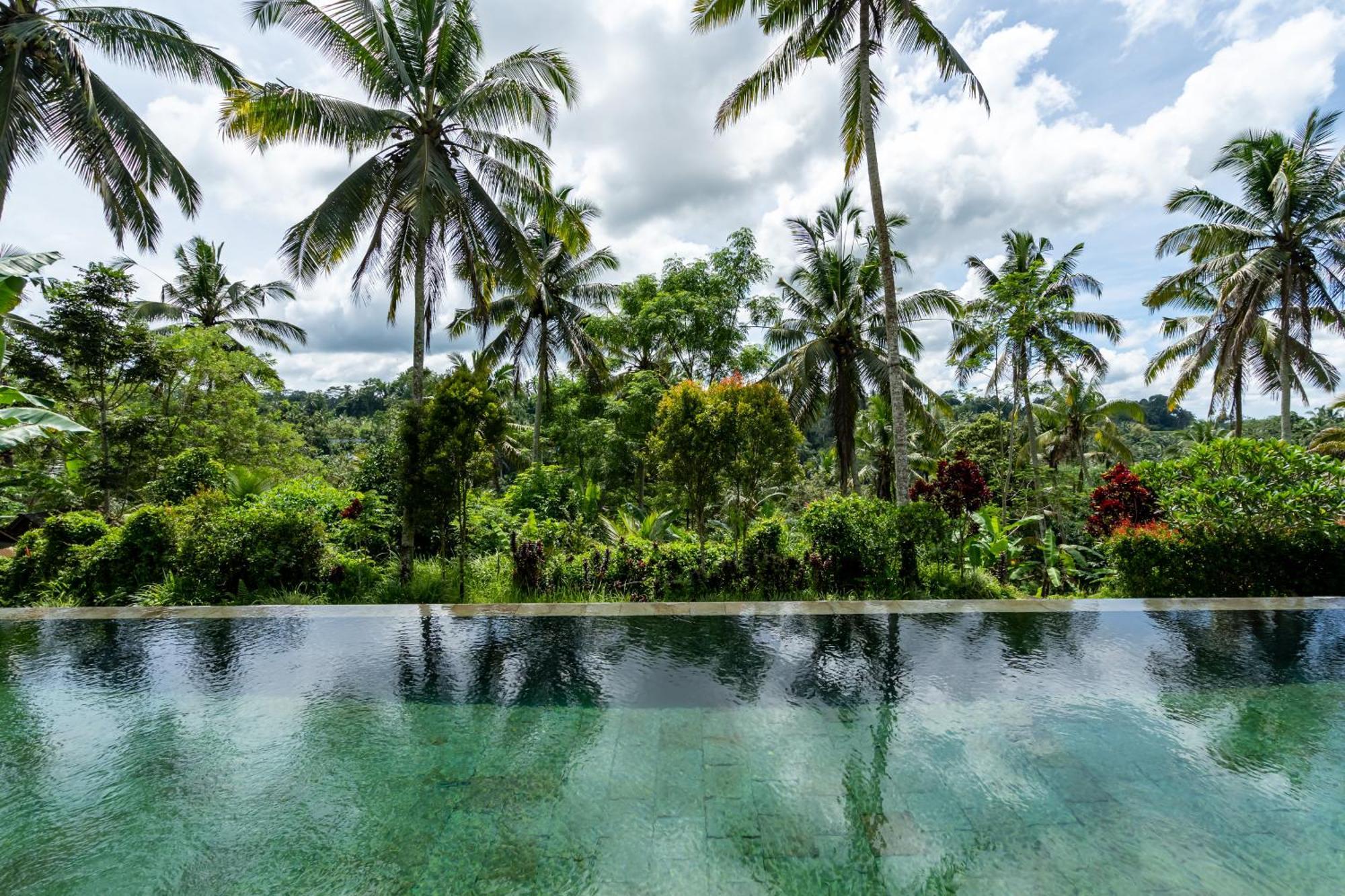 Villa Themma Jungle - Sumptuous 3Br Luxury Villa With Majestic Jungle View North Of Ubud Ngoại thất bức ảnh